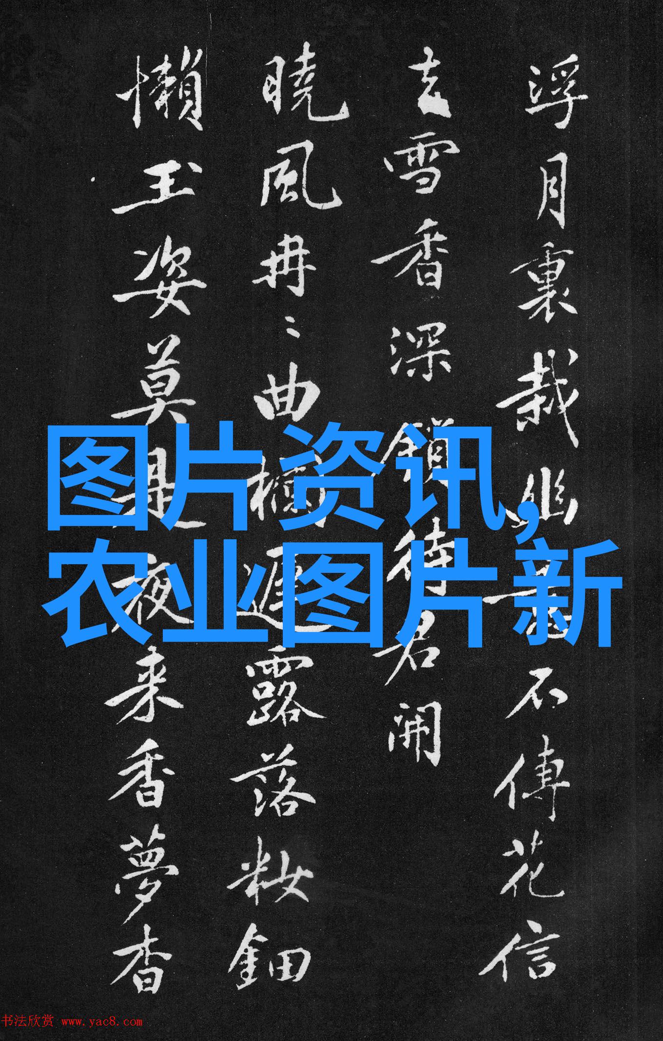 岁月药草一年生之韵