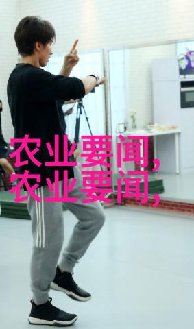 在中国怎样促进地方农场加入现代化的网络化生产模式中去