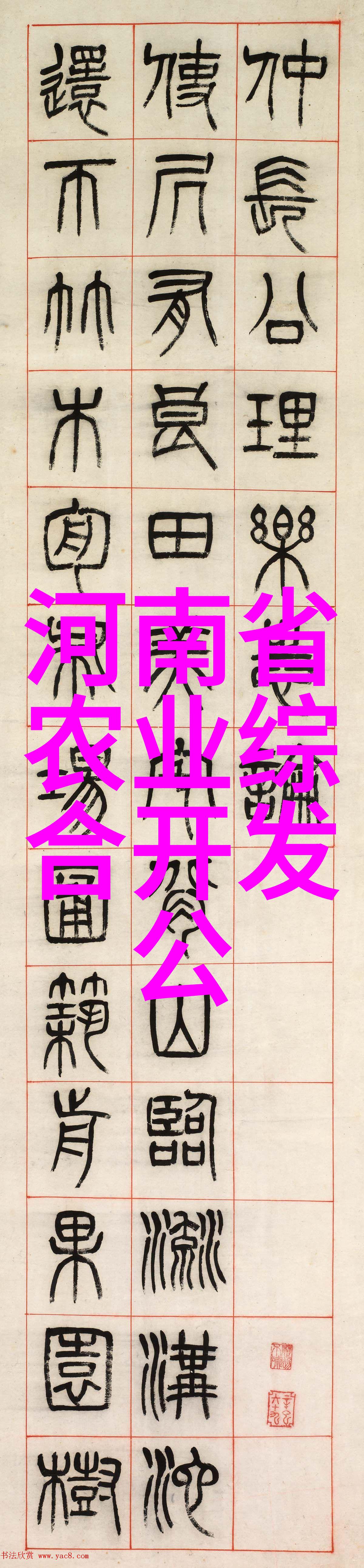 传统名茶的韵味与故事