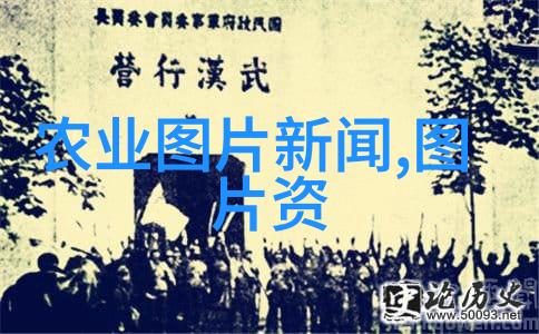 中药材种植基地申请指南专业指导如何建立中药材种植基地