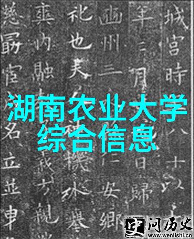 升降机的未来智能化与可持续发展的融合