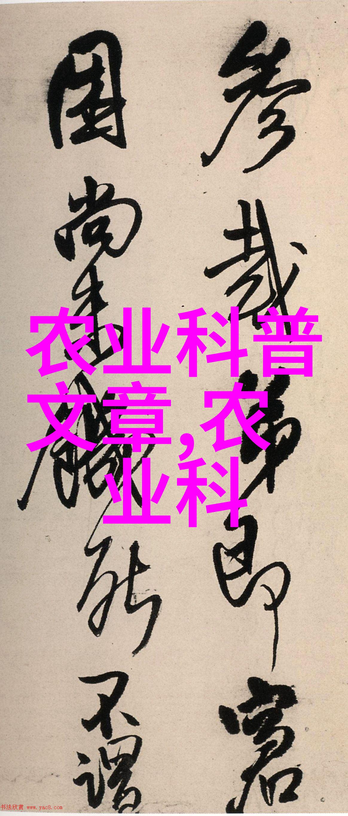试看60分做受-逆袭的极限60分钟内成为他人的受害者