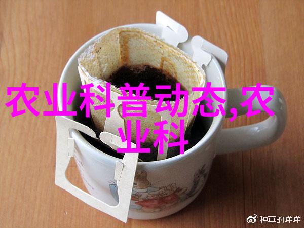 春季美化园区如何选择适合的花卉种子并正确播种