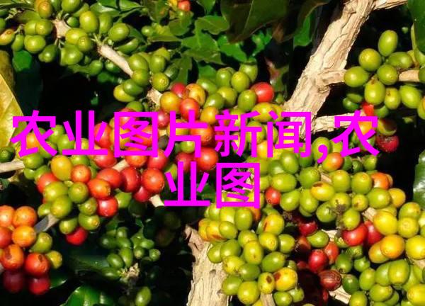 青岛太清宫百花争艳如凌霄花绕枝侧柏如树万千绿意融合一道独特的生态画卷1000万绿化工程中有多少处是这