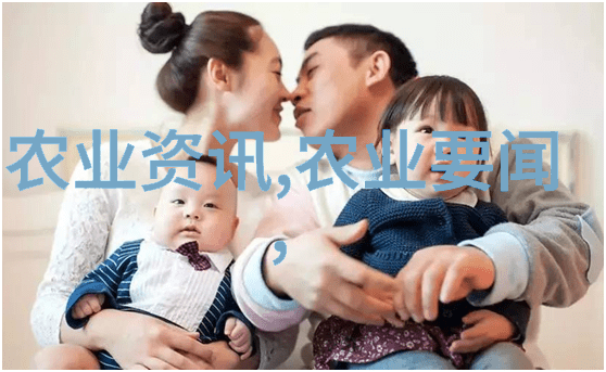 吊篮菊