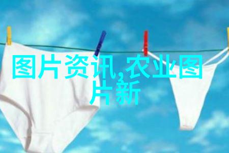 深夜的玉米田种子中的秘密与无尽的梦想