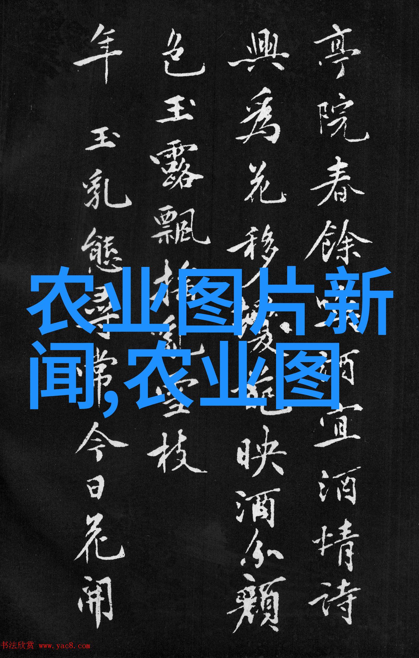 多肉植物园中的十五大生长定律效应赶紧学习掌握