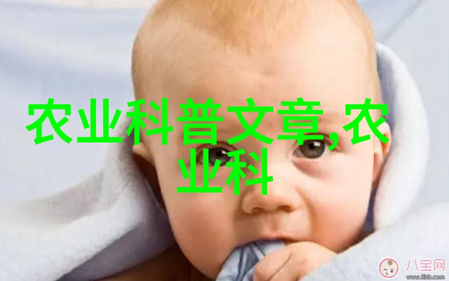 中年求职新篇章跨入45岁至50岁的就业时代