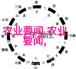 一亩菠萝园的梦想条件与挑战