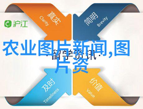 阳台最旺宅的植物绿意盎然的家居美学探索