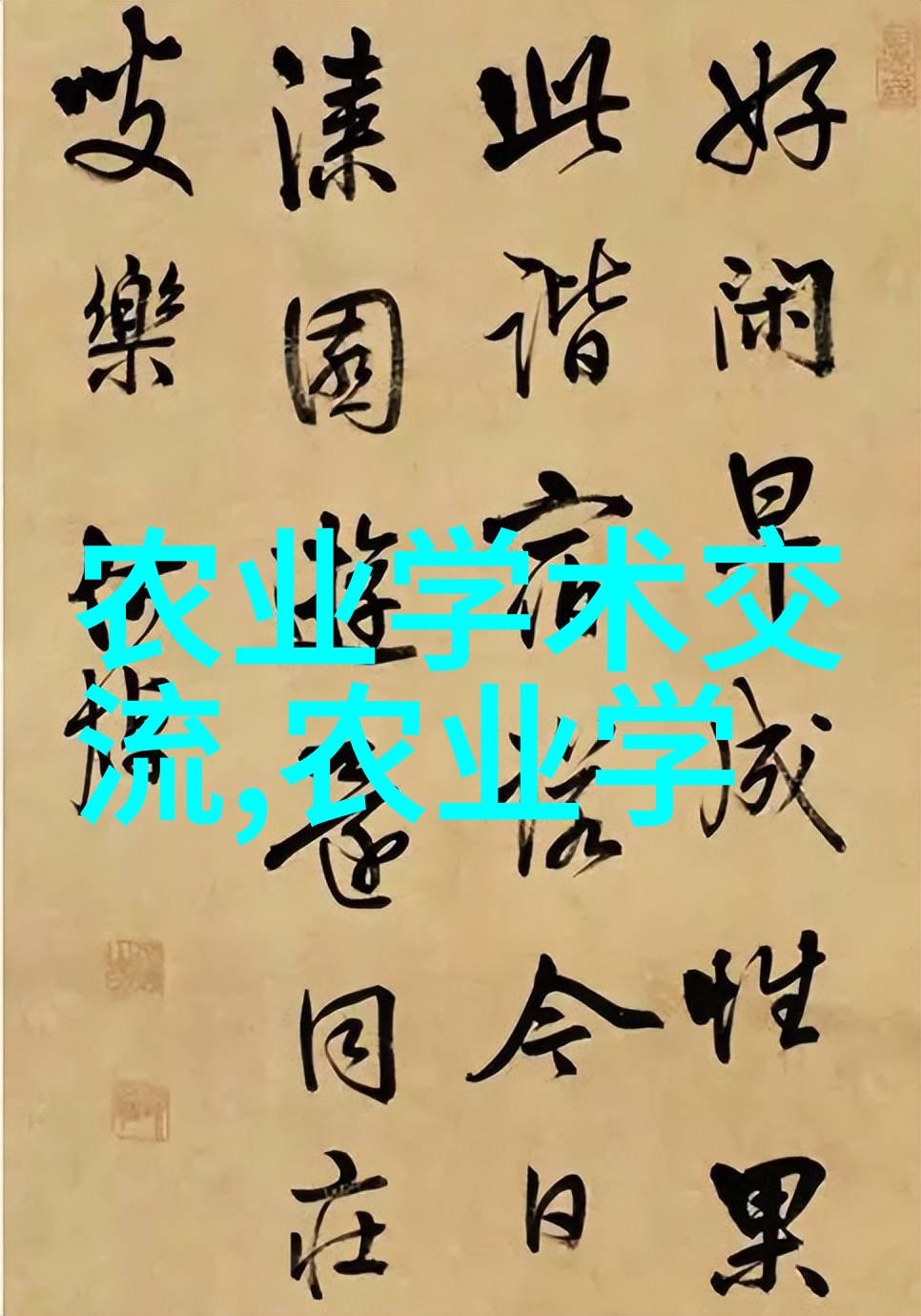 青春不老秘诀抗氧化力的超级食材揭秘
