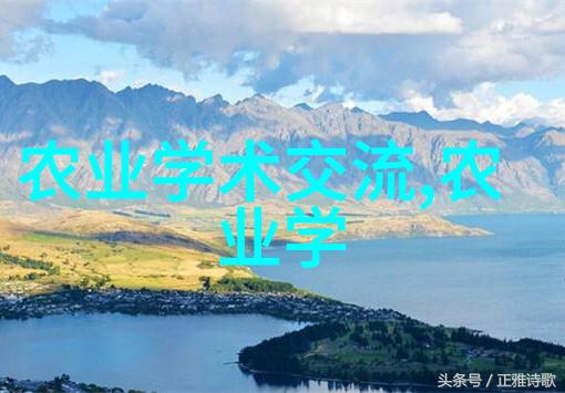建大棚投资分析一亩多少钱