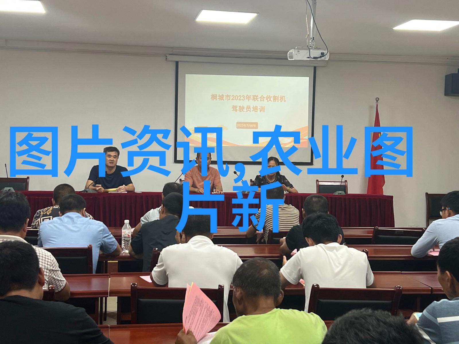 莲雾秘笈从零到二十万的盈利之路