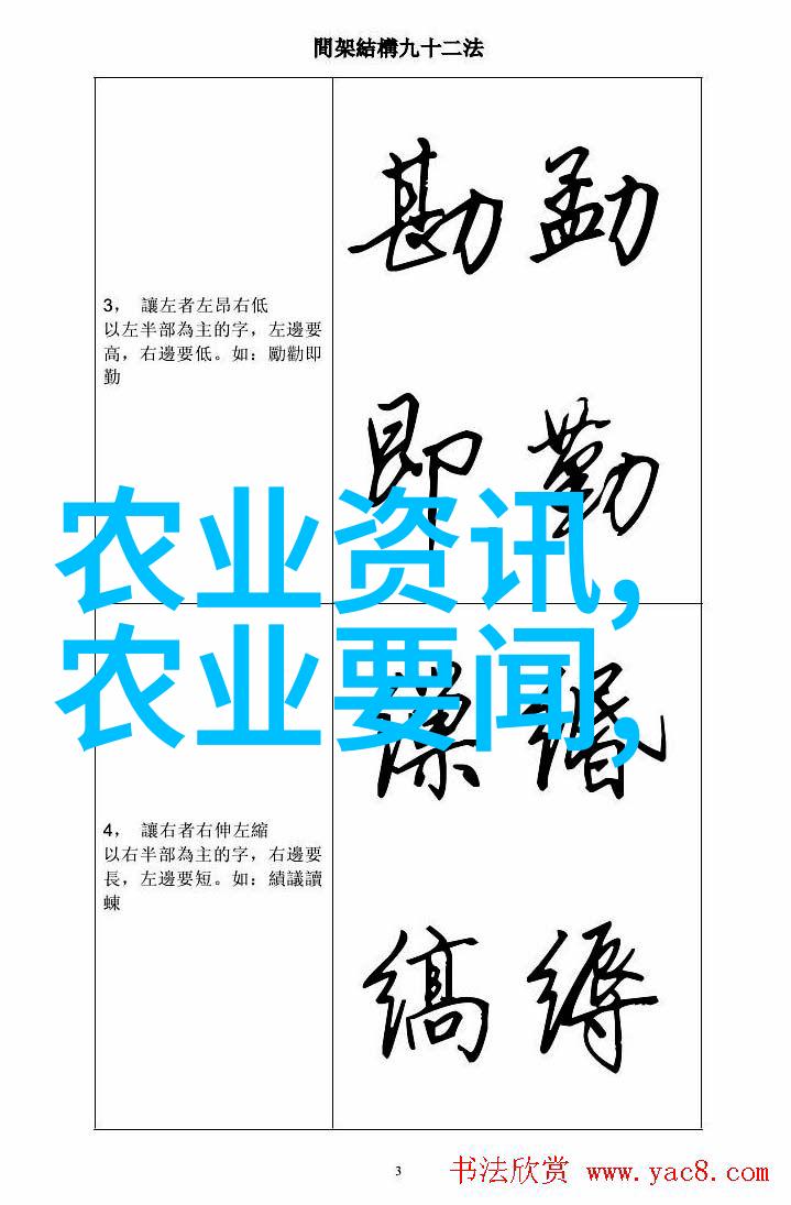 自然风光-丰收的礼物各种果实的种子图片展览