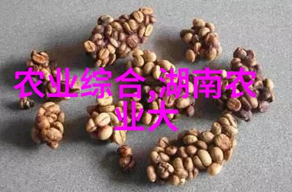 游戏解锁我可以随时脱掉的神奇破解版