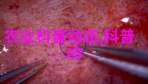 最容易种的盆栽水果-绿手指也能成功的5种室内水果植物
