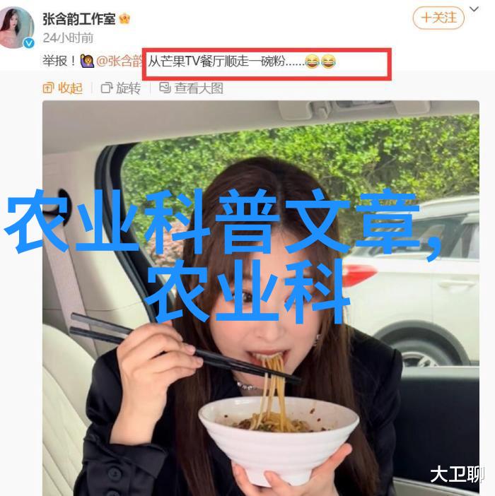 常见花卉植株管理技术精准施肥适时浇水科学修剪