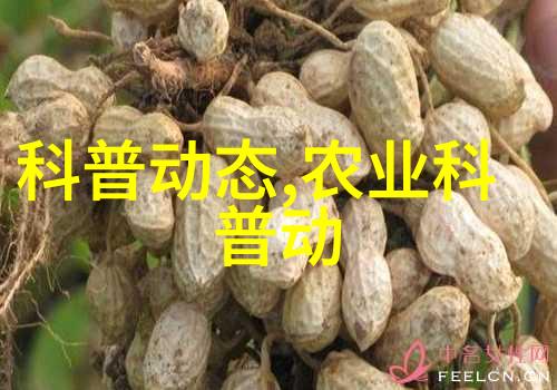 豌豆的故事从野生到餐桌的奇妙旅程