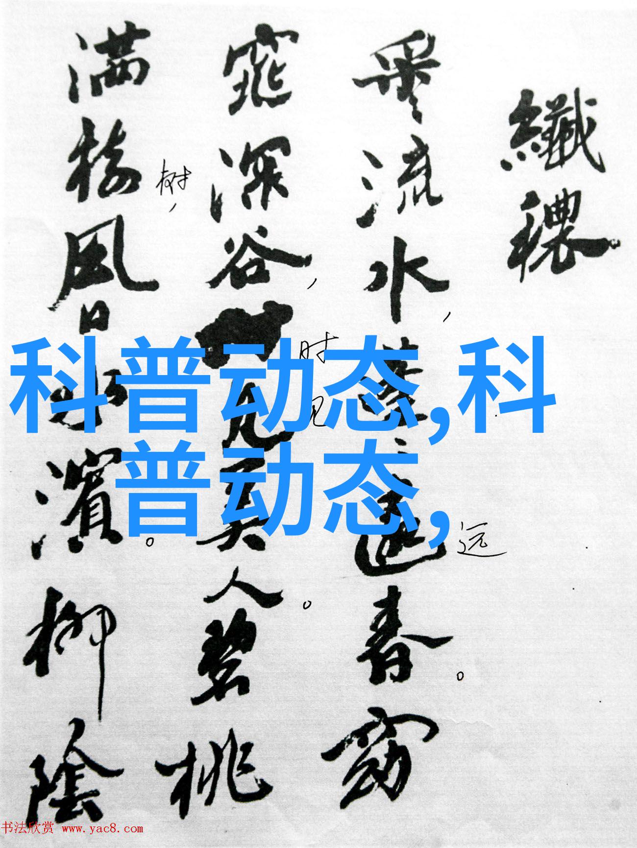 室内十大吉利花选择最佳的室内装饰植物