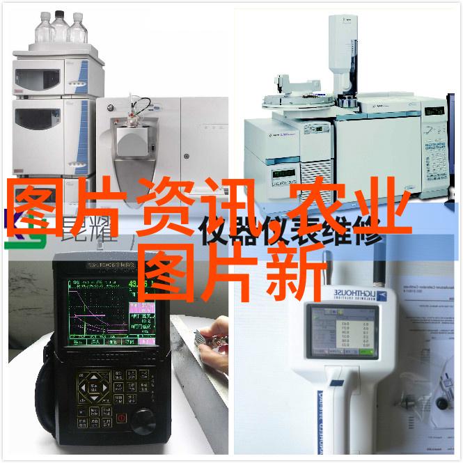 蟈头蘭繁殖方法自制盆栽或从苗木移植成活秘诀