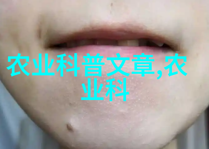 玉米秸秆打包机我的收割季节的伙伴