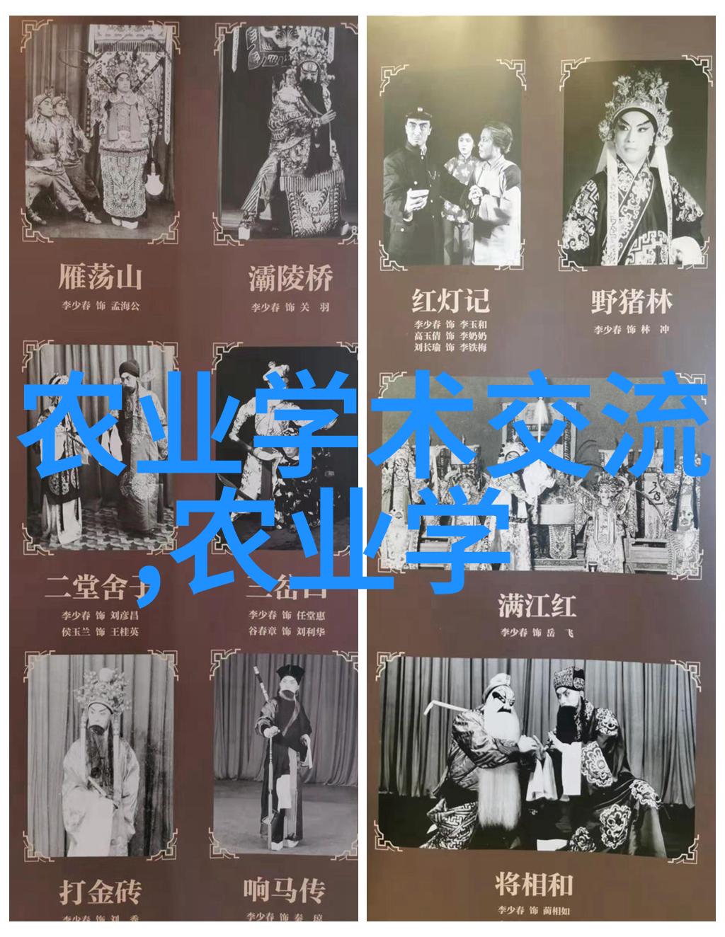 红薯叶的秘密从野生植物到美食佳肴