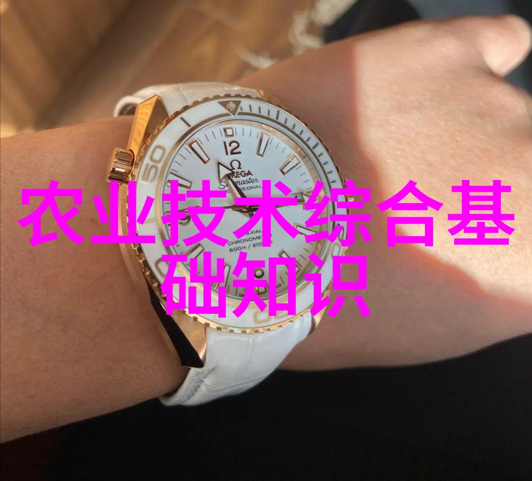 山竹种植高产技巧大亏不挣揭秘大规模承包土地种粮赚钱秘诀