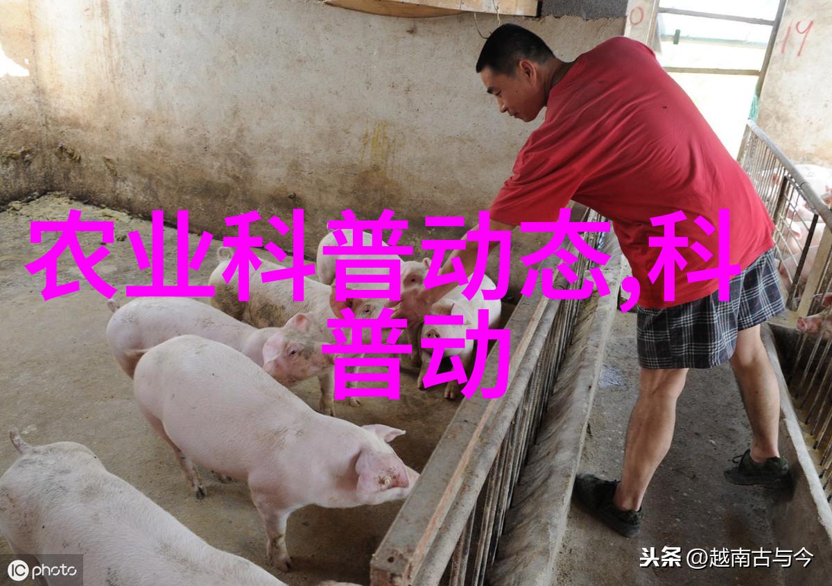 为什么水稻田里会出现恶苗病- 探索农业科普之谜