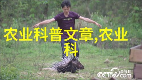 这个季节喝什么茶叶 - 春日暖阳下的绿茶品鉴