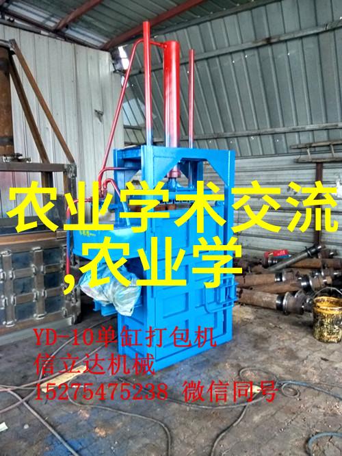 绿意盎然的室内花园十大精选盆景亮相