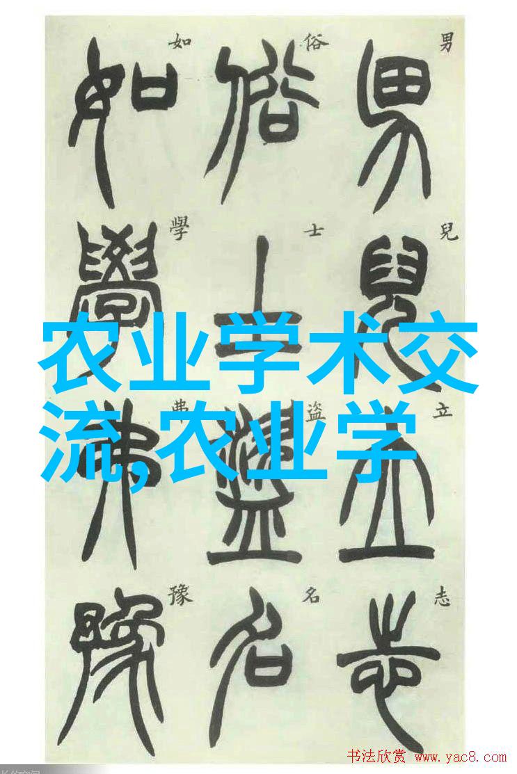 欧洲菊苣健康蔬菜选择