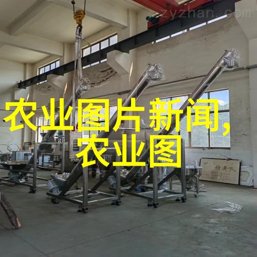 将猪饲料加工调制比作精心打造休闲农业乐园需留意这些问题
