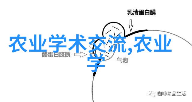 苗木树苗的选择与养护从种植到成长的全过程指南