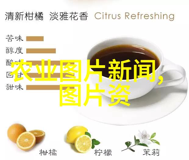 2022年中药材种植前景我来告诉你开花结果的希望揭秘2022年的中药材种植新机遇