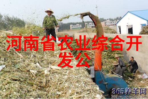 中国药材种植致富高效现代药用植物种植技术