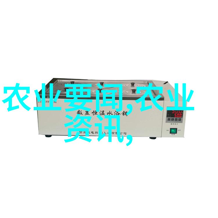 山东寿光的无土栽培革命开启绿色蔬菜新篇章
