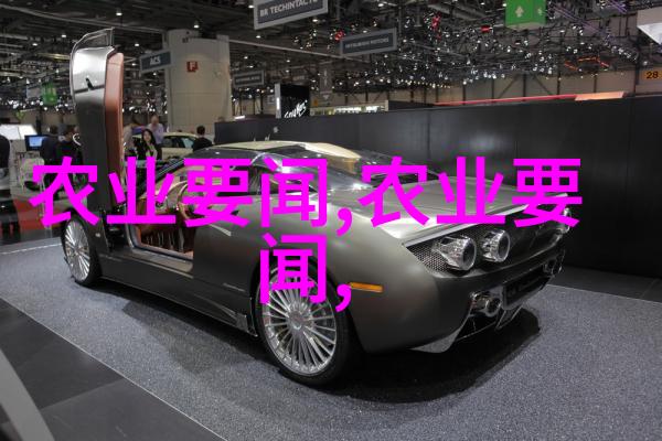 母猪养殖技术助力如何高效推销扎啤和活鸡给饭店