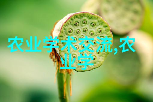 绿茵图书馆种植智慧的丰收篇章