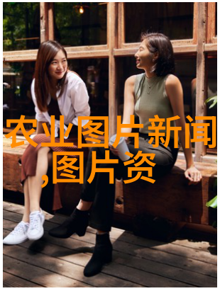 阳台上的好养活之选保花保果的龙眼秘诀