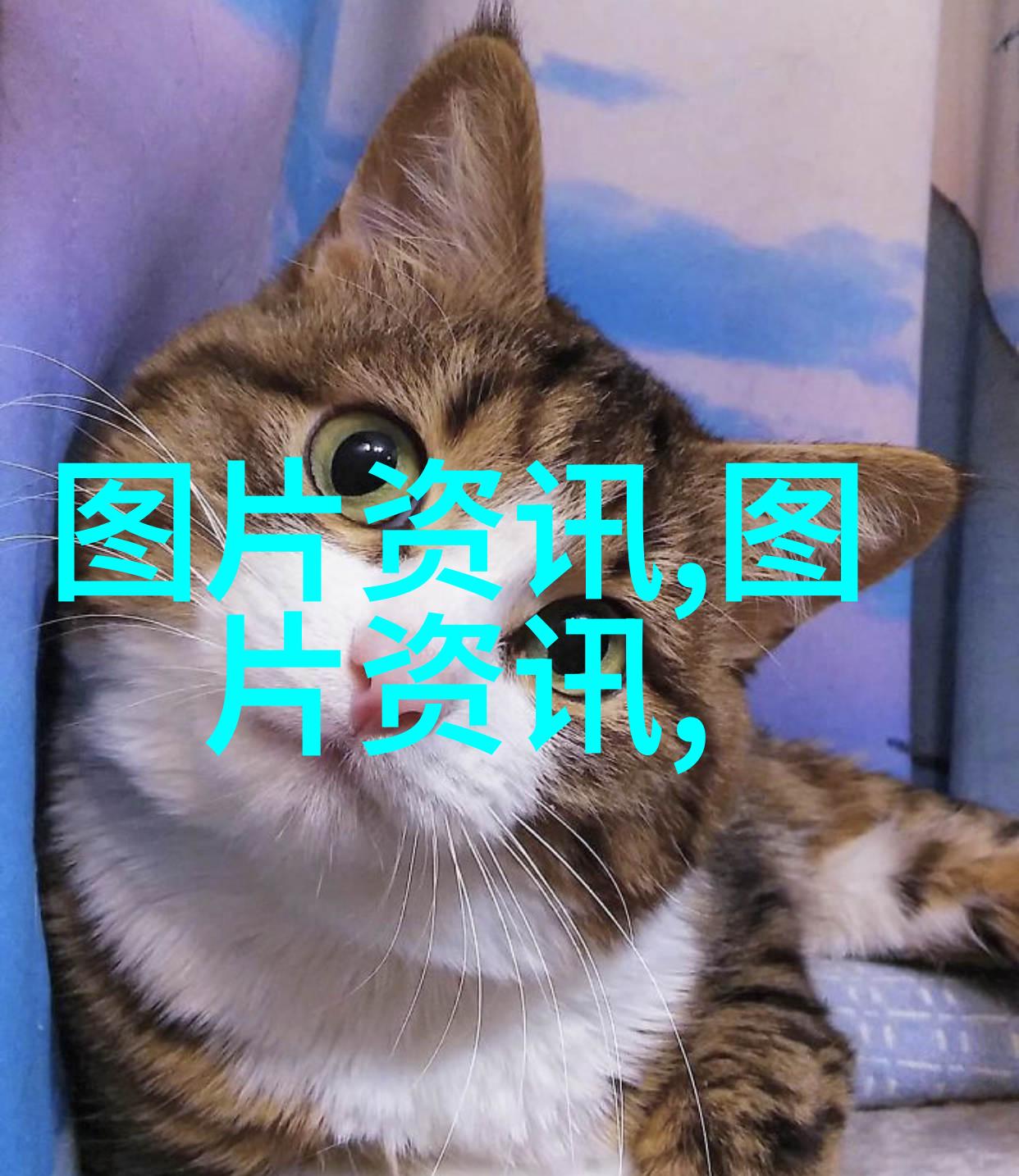 中医药学-探秘百草100种中草药名字图解