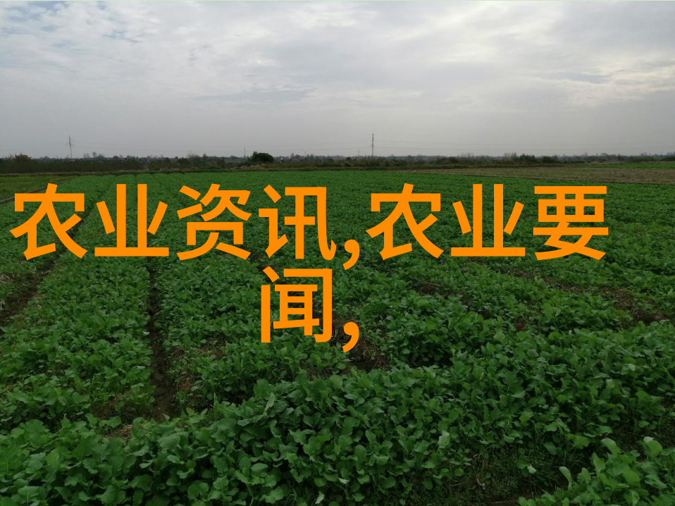 绿意盎然的守望者苗木树苗的故事