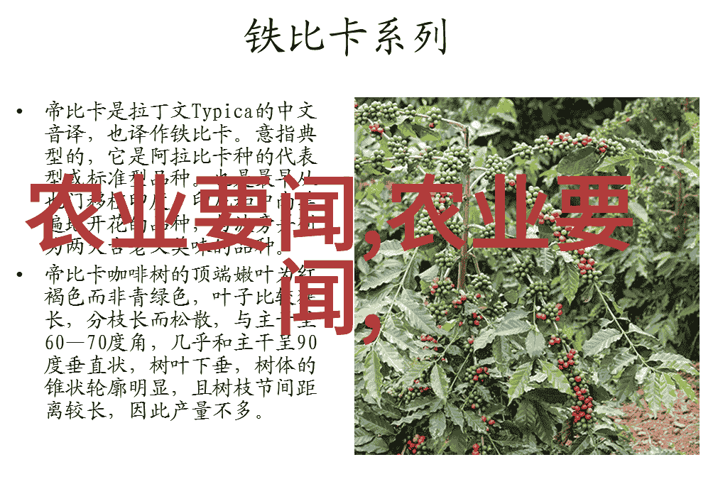 探索水果种植的未来掌握莲雾的基础管理知识开启丰收之路