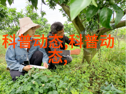 西安苗木市场的历史有多长