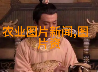 银杏树古色古香的城市绿化