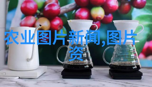 如何保证高效率地种植和繁殖中药材种苗