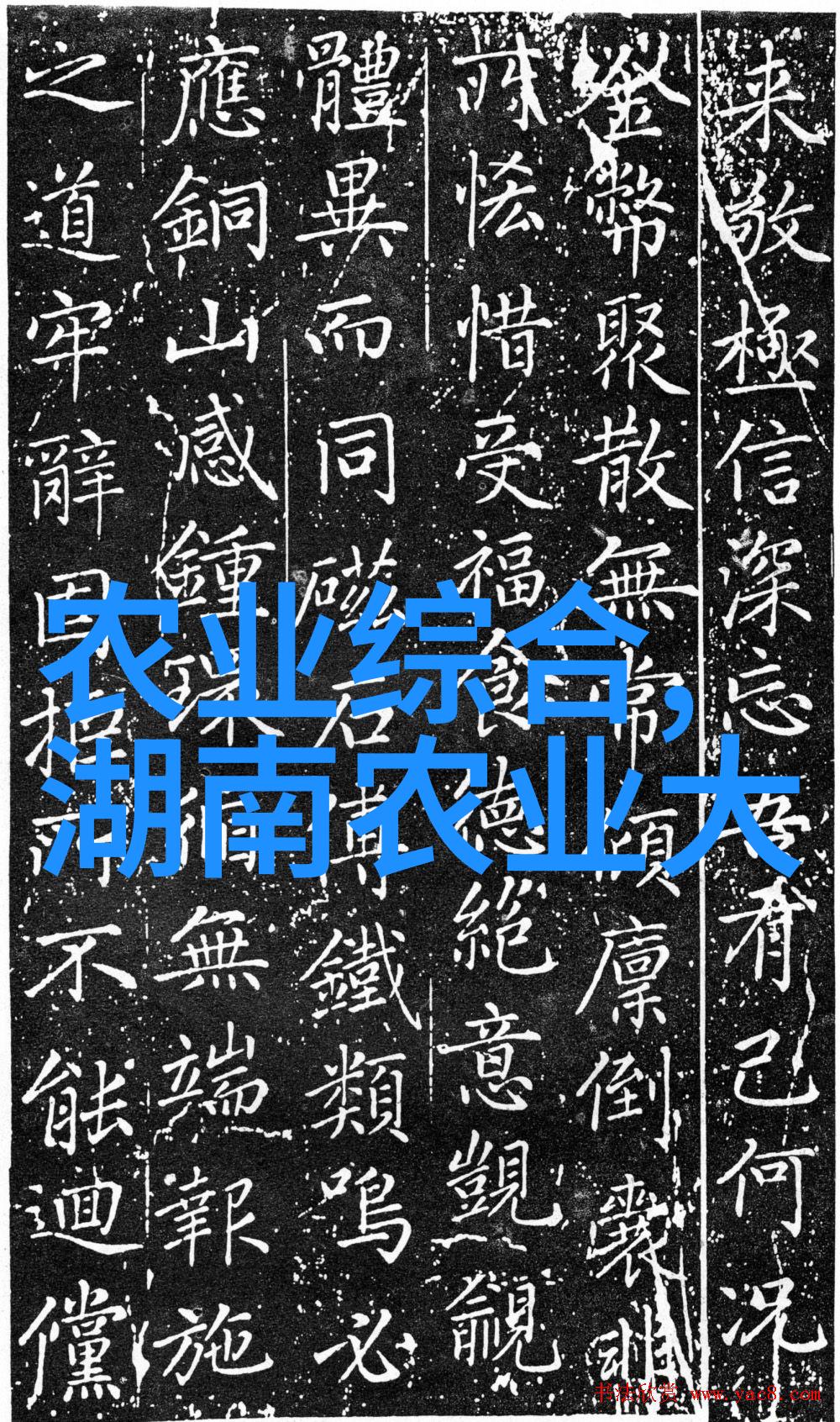 苗木网的选择与管理