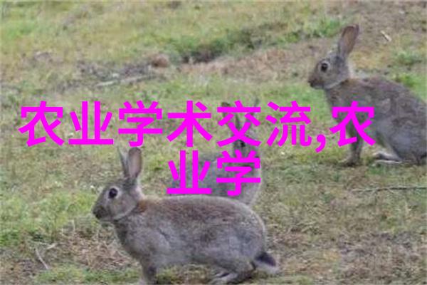 春不老山药种植四大要诀引领你走向丰收的春天