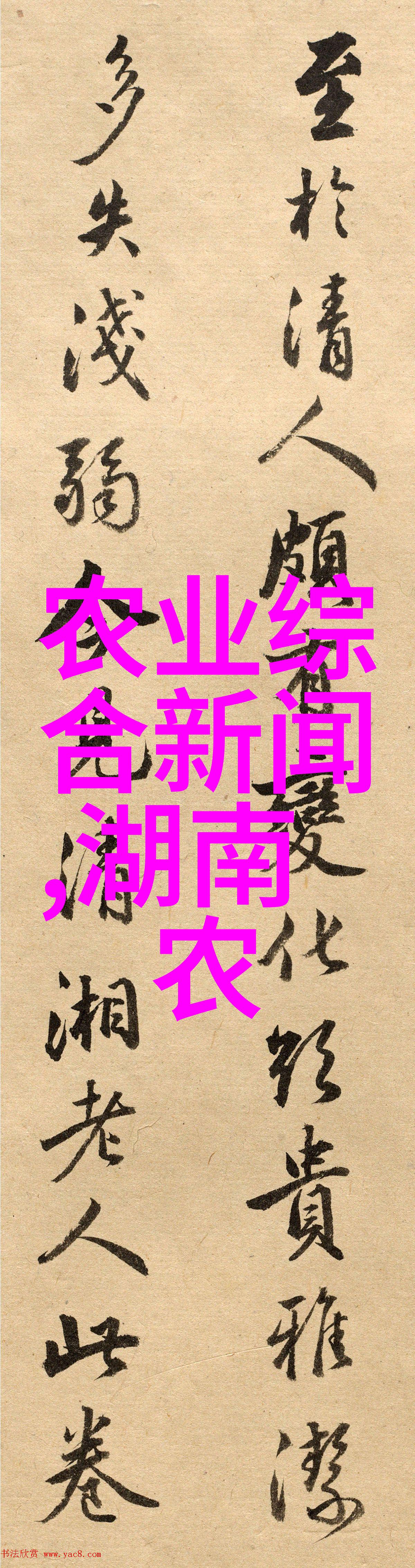 云南十大花卉基地探索云南美丽花海的十个必游景点