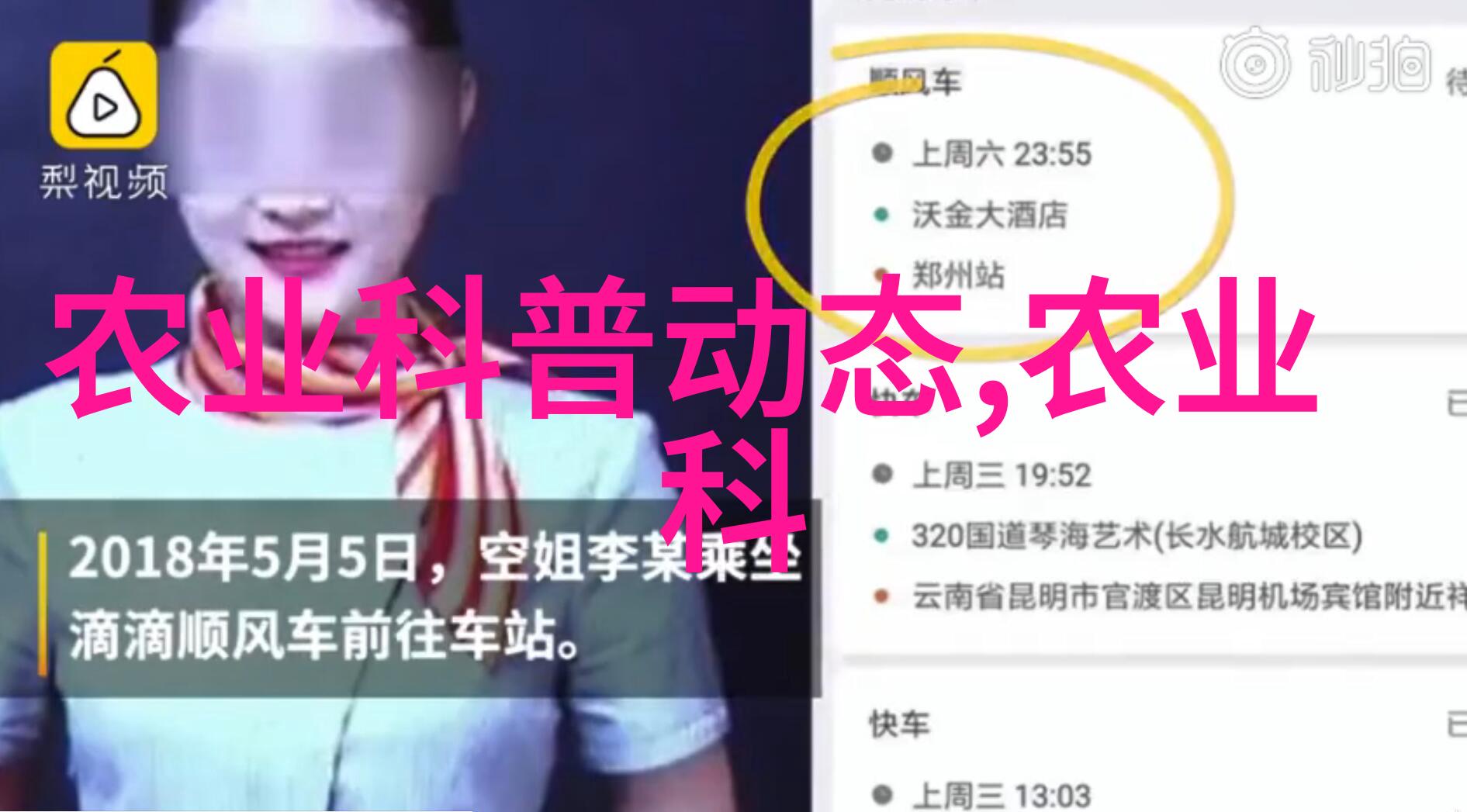 茶叶的药用功效与作用中药材健康养生茶饮文化