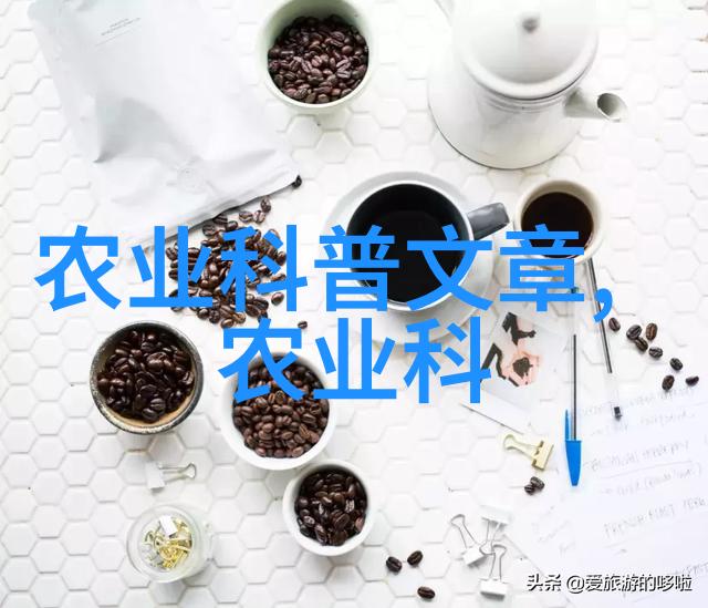 夏季蔬菜选择绿意盎然的家园